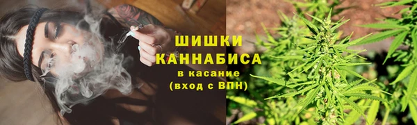 PSILOCYBIN Богородицк